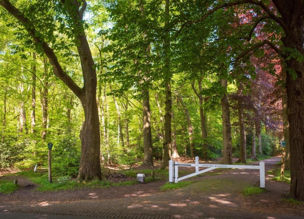 Finnish Chalet with Private Garden & Sauna near Veluwe
