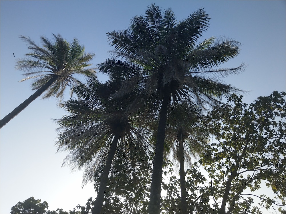 Photo 49