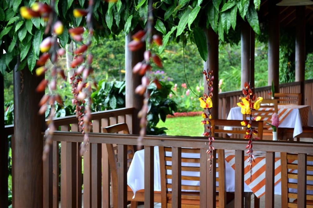 Finca Hamburgo