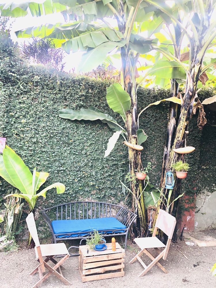 Savannah House - Hostel