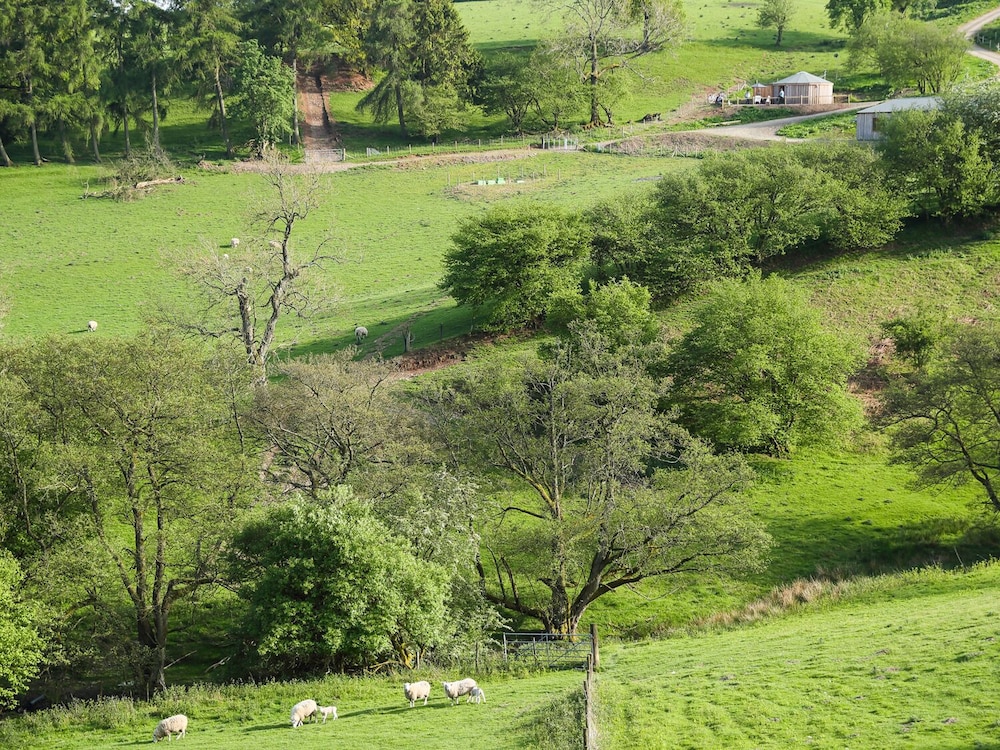 Rolling Hills