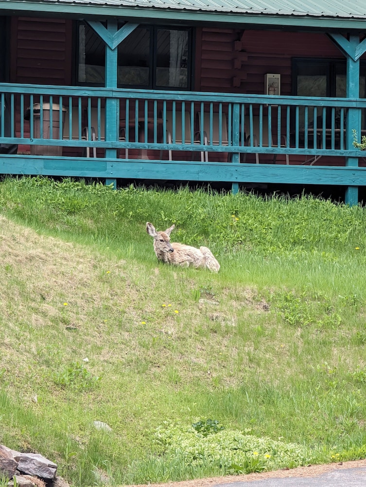 Ponderosa Pines Inn and Cabins