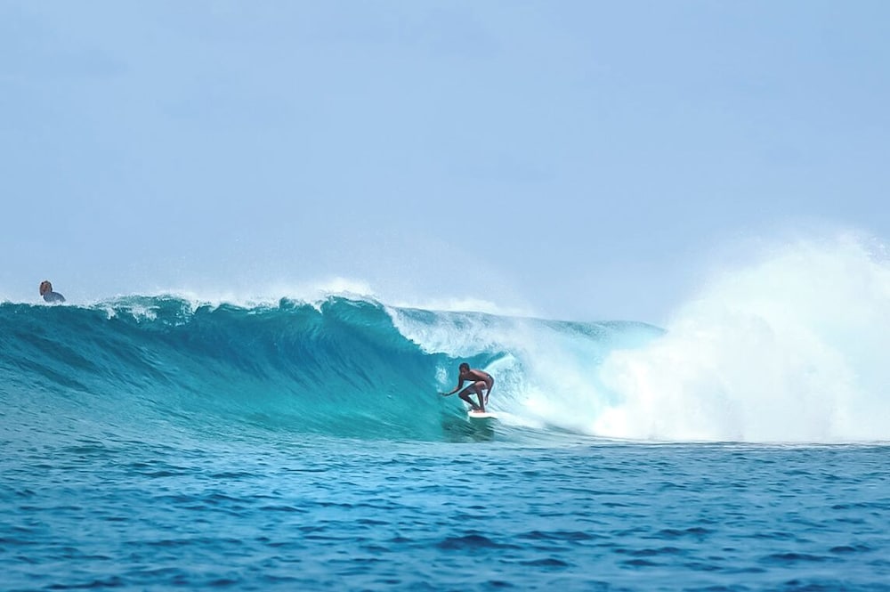 The Maverick Surf and Dive Boutique Hotel