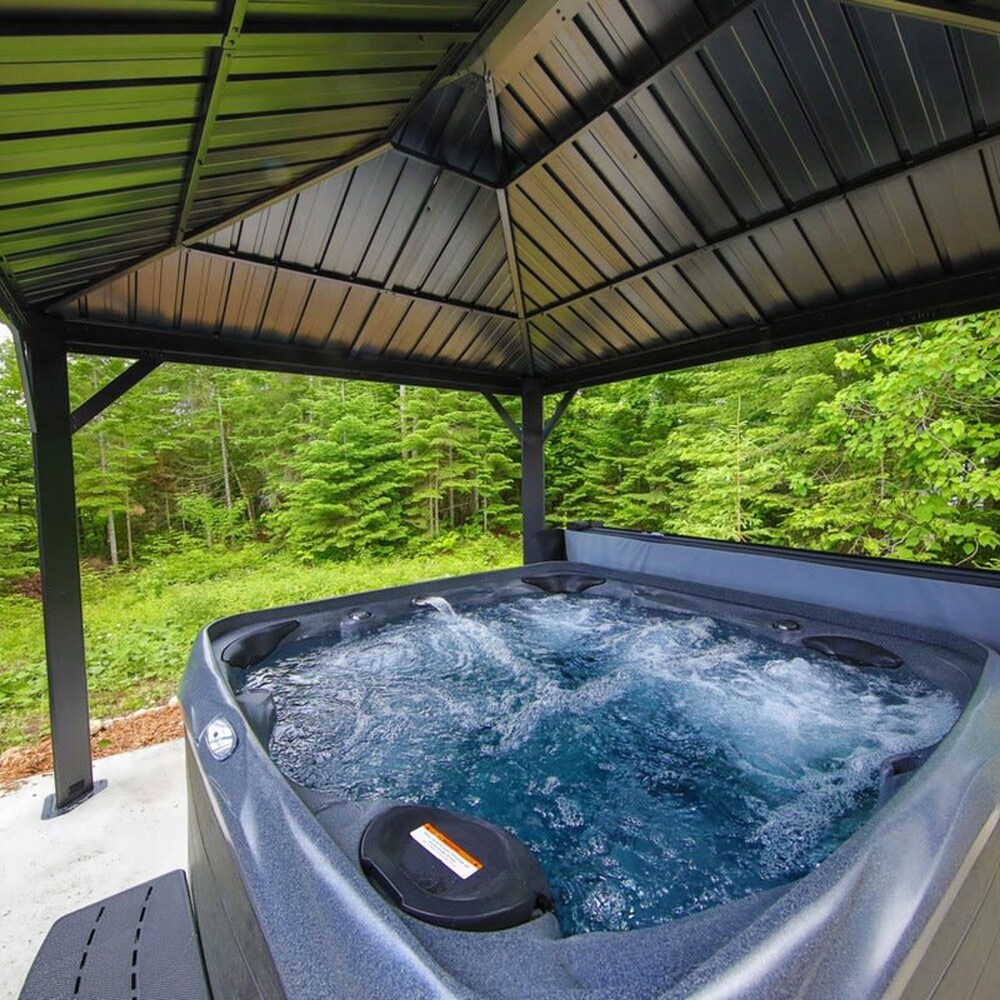 Sommet- Pet Friendly- Spa- SKI IN SKI OUT St-c me