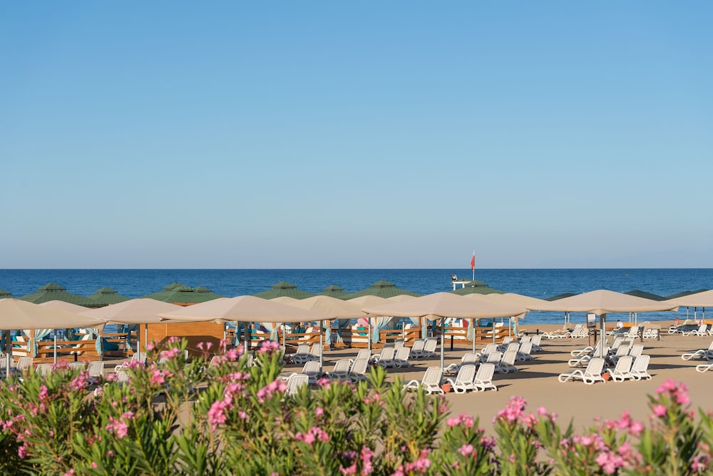 Kamelya Fulya Hotel