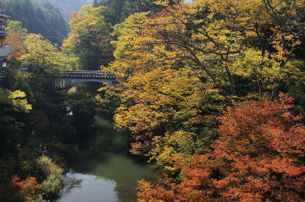 Yamanaka Onsen Ohanami Kyubei