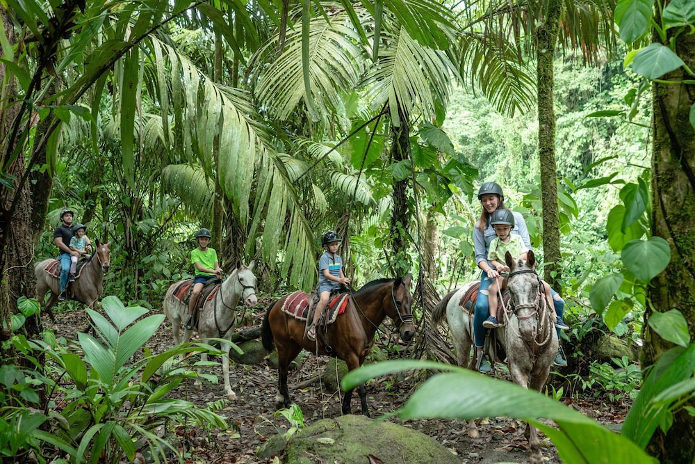 The Springs Resort & Spa at Arenal 170