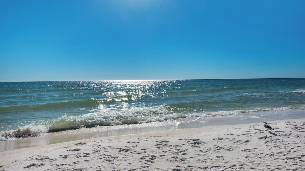 Beachfront Corner Unit w/ Wrap-around Balcony, Close to Attractions!