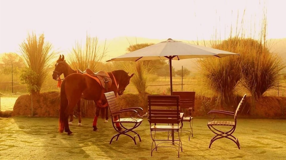Maa Ashapura Resort