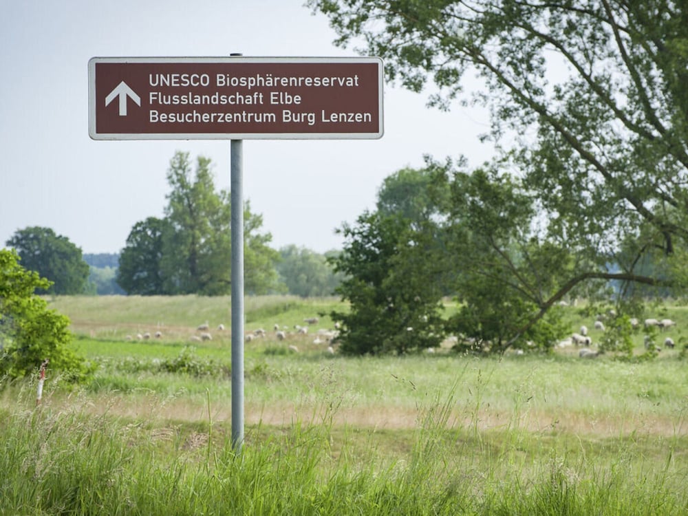 Elbwiesenhaus Modern Retreat