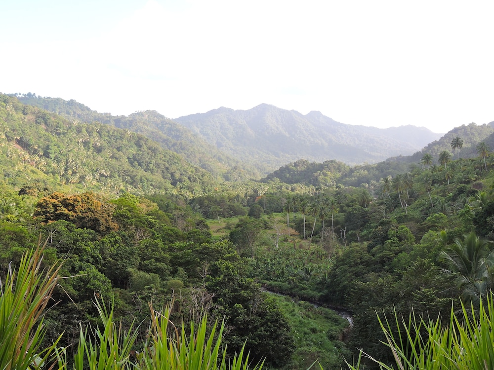Hibiscus Valley Inn