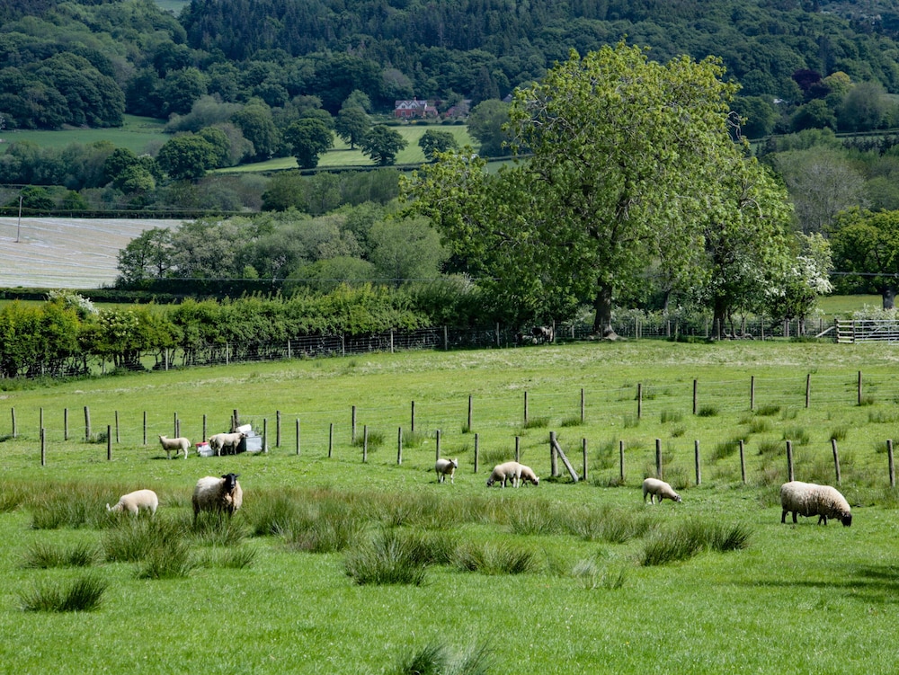 Broughton Stables