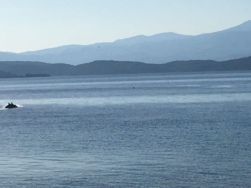 Maravellia Art Hotel - Property Image 22