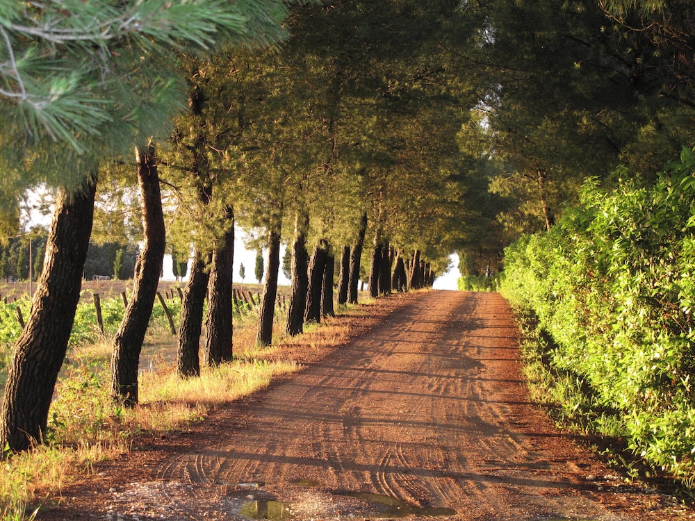 Agriturismo Colleverde