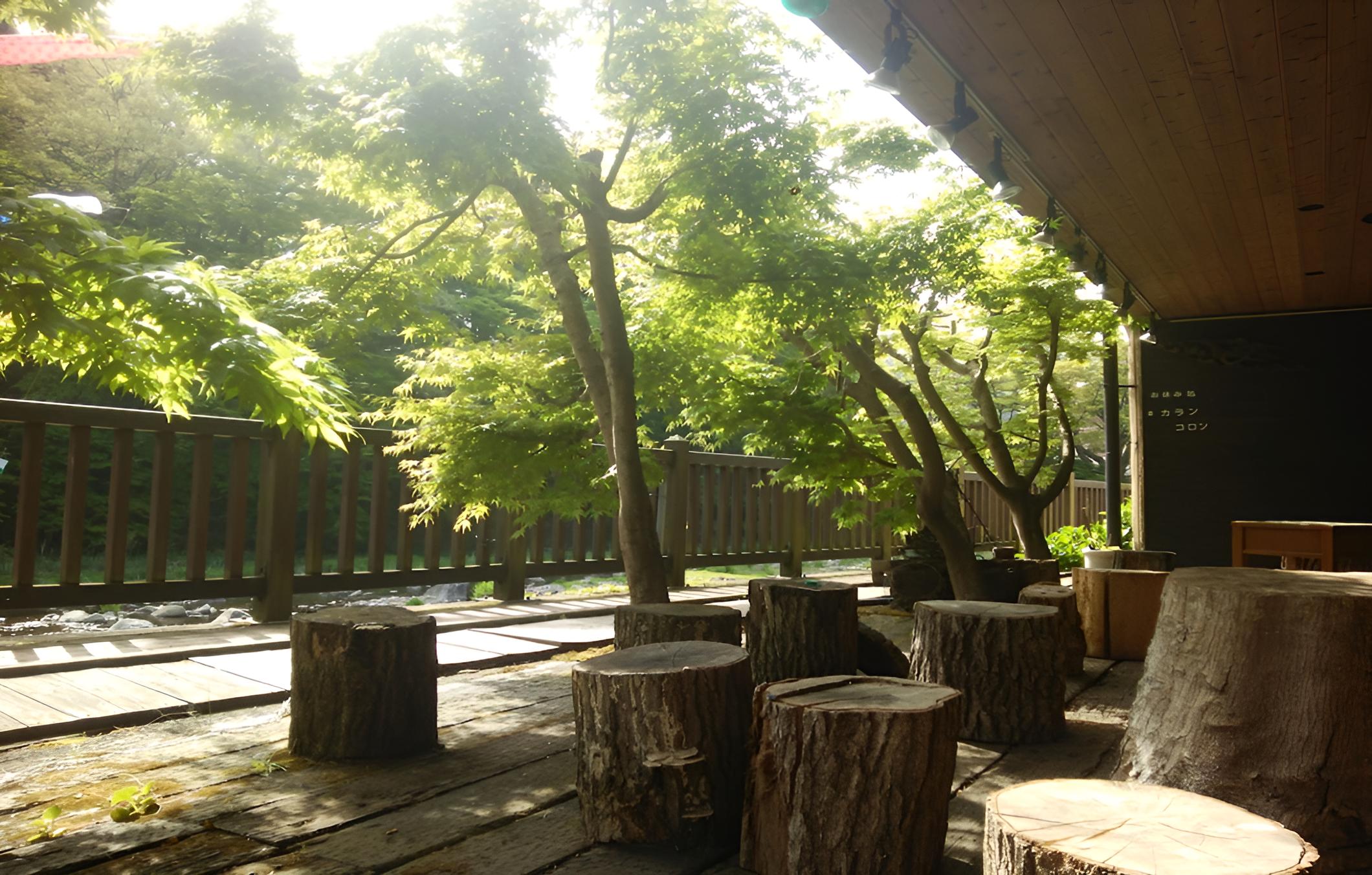 Ryokan Kamiaizuya