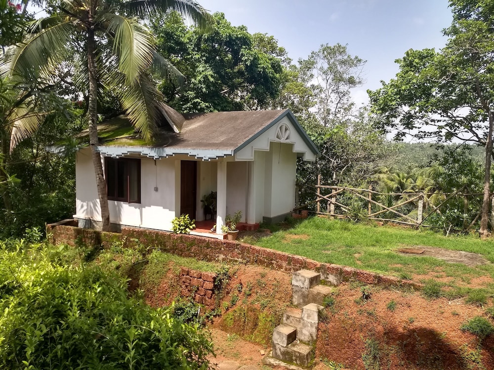 Blooming Bay - Clifftop Beach Resort