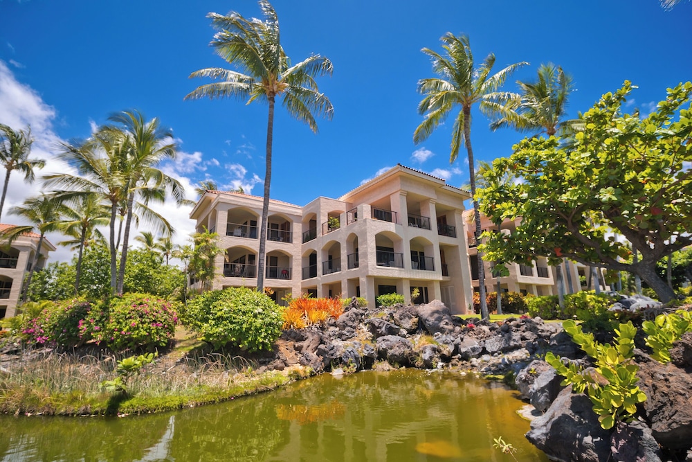 Hilton Pool Pass Incl. Serene Resort Gem view 5