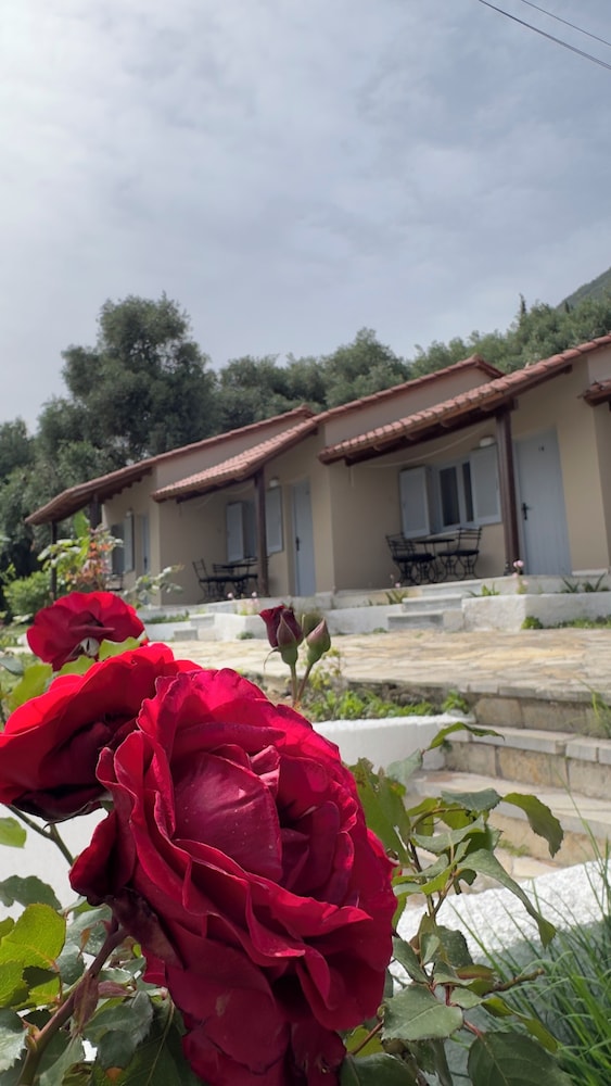 Olga's Sea View Studios -500m from Ipsos