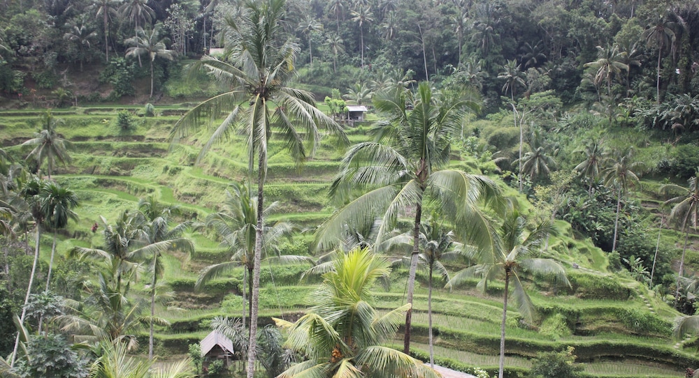 Vila Padma Bali - A Trishula Collection