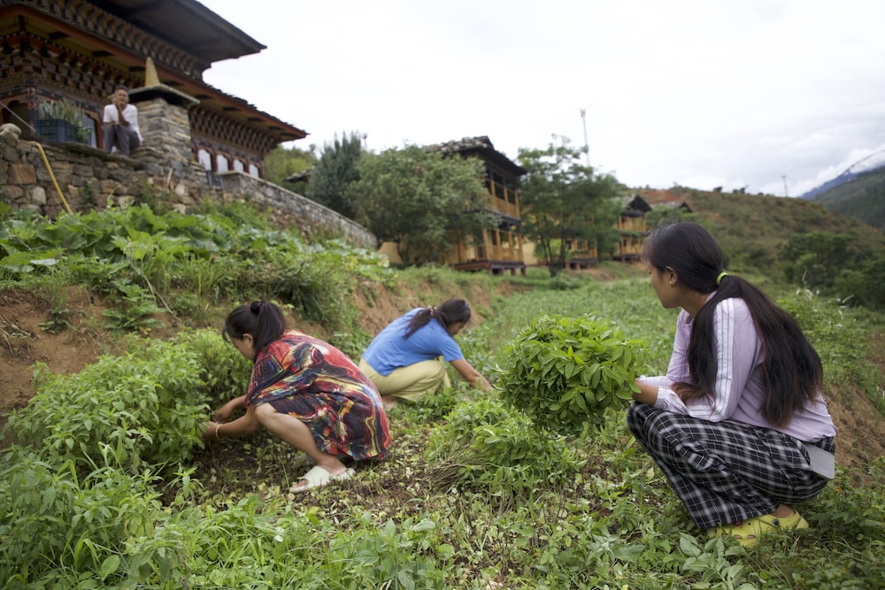 Wangdue EcoLodge