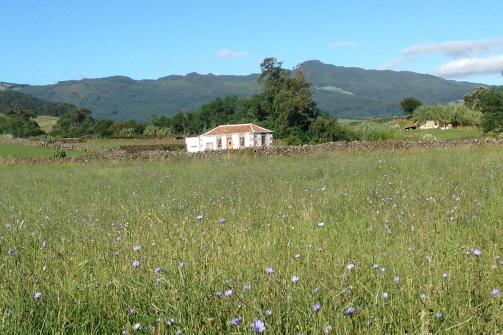 Quinta de São Braz view 3