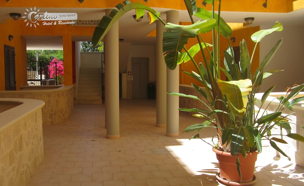 Photo 26