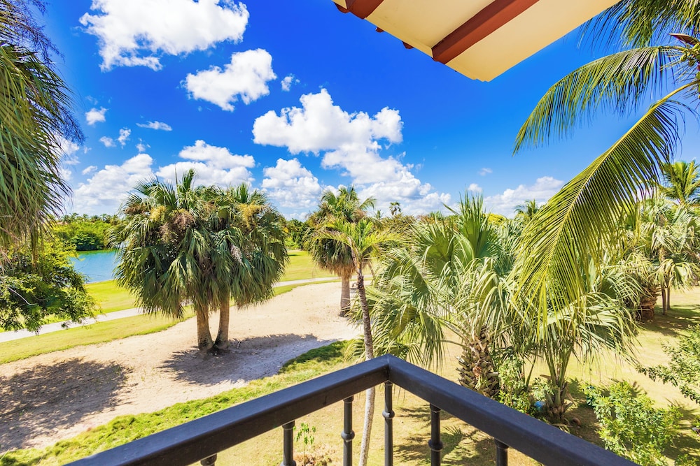 Photo 66