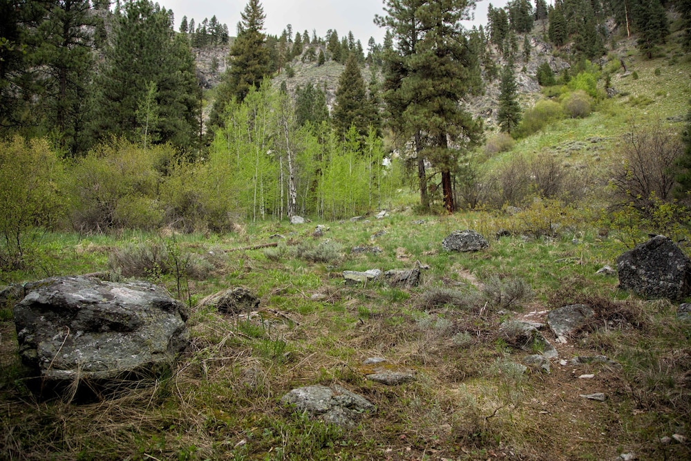 Sawtooth Lodge