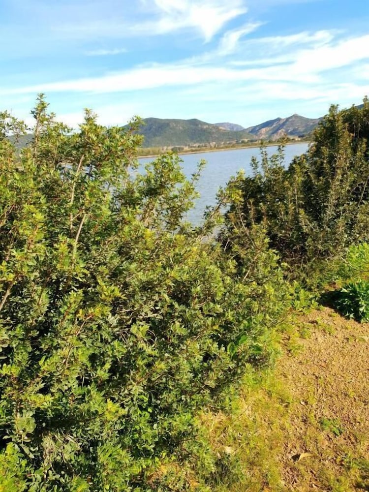 Photo 31
