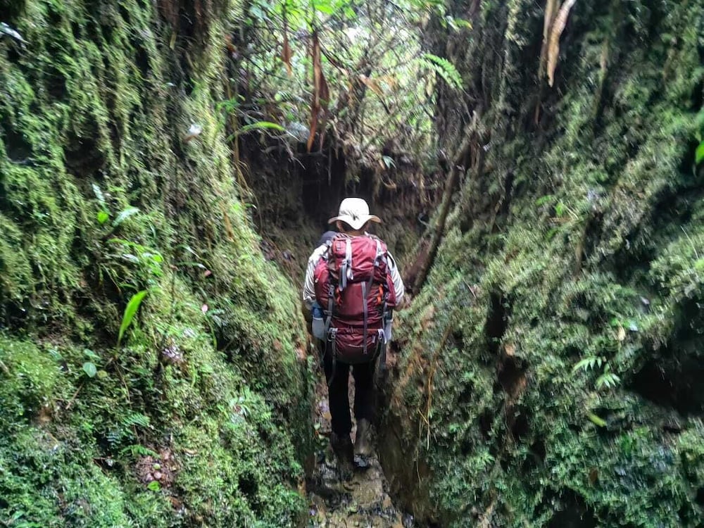 Hotel Hostal Nomba - Image 1