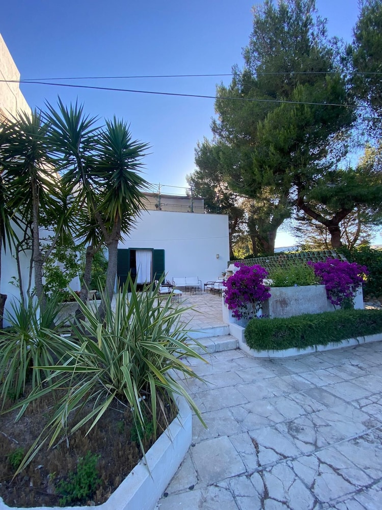Tenuta Belvedere