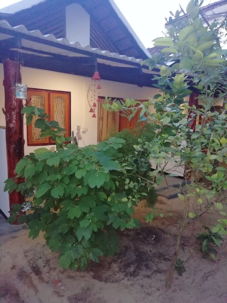 Photo 42