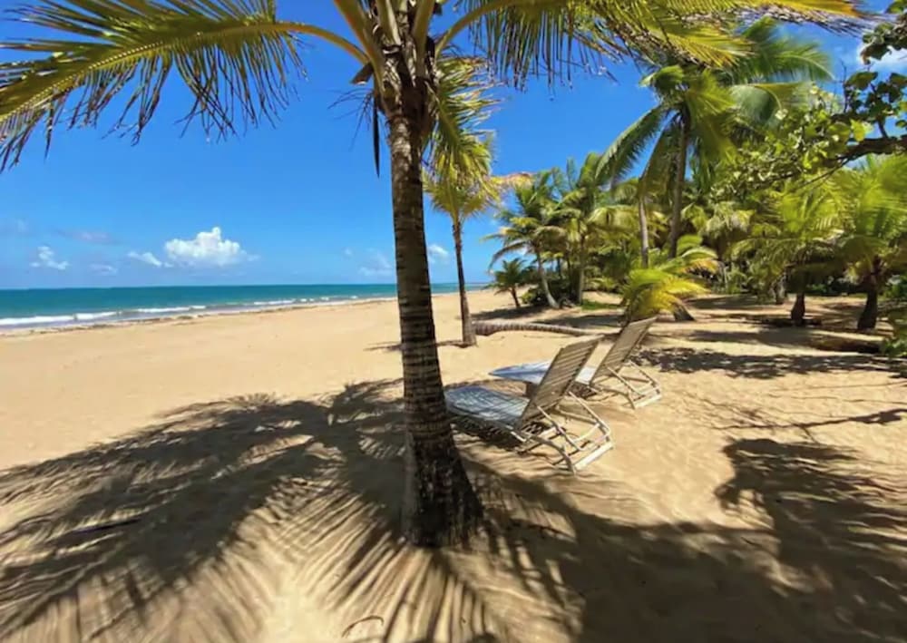 Beachside Adventure Suites - Property Image 130