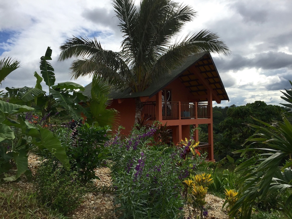Oasis Lodge
