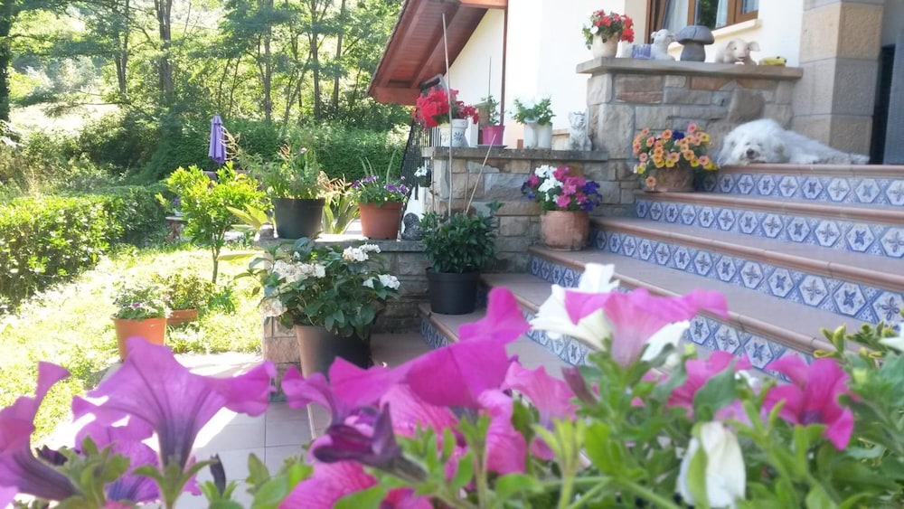 Agroturismo Ibarrondo Etxea
