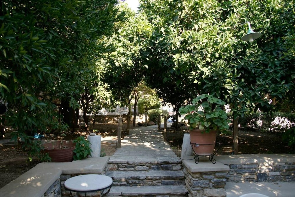 Photo 45