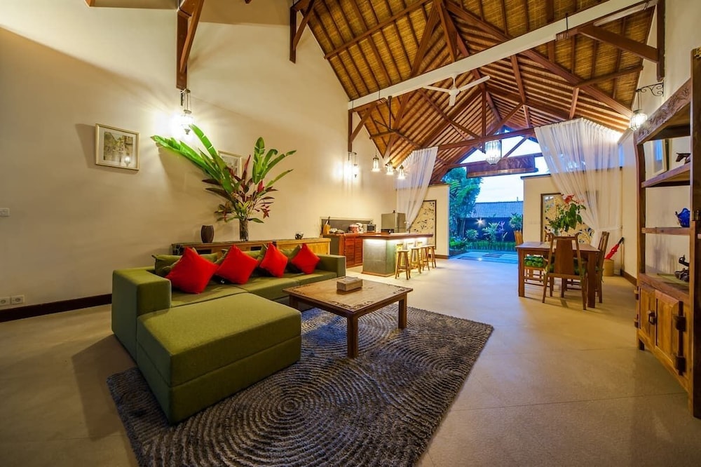 Infinity Jungle View Aashaya Villa Ubud view 5