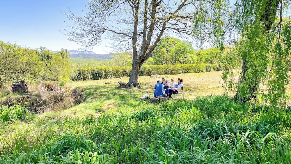 Molweni Kamberg Valley Bed and Breakfast
