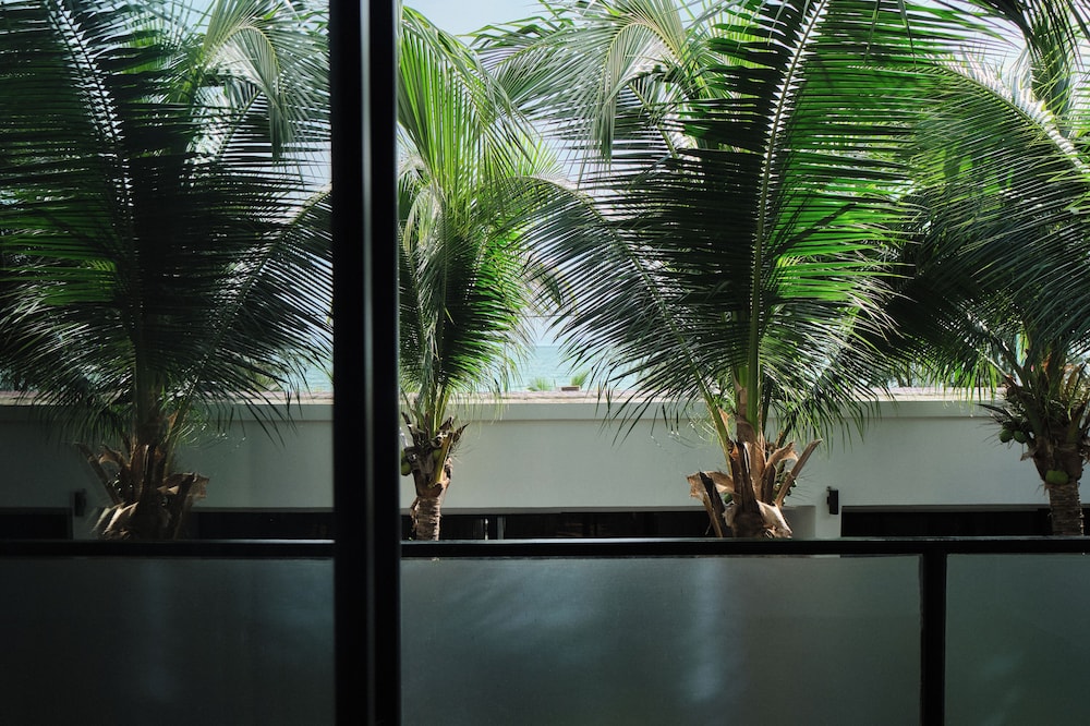 Outdoor Space