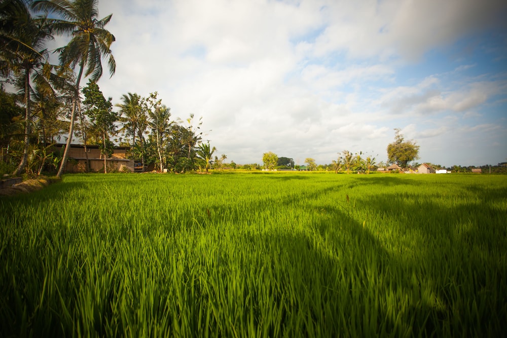 Anulekha Resort and Villa