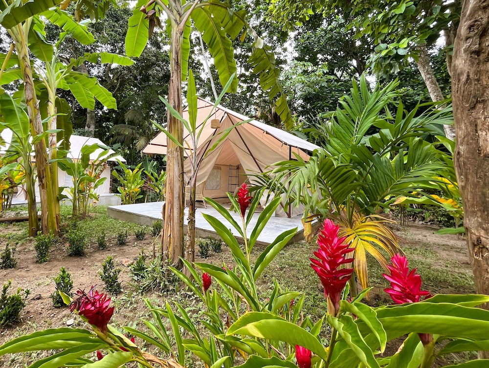 Glamping Jazayma