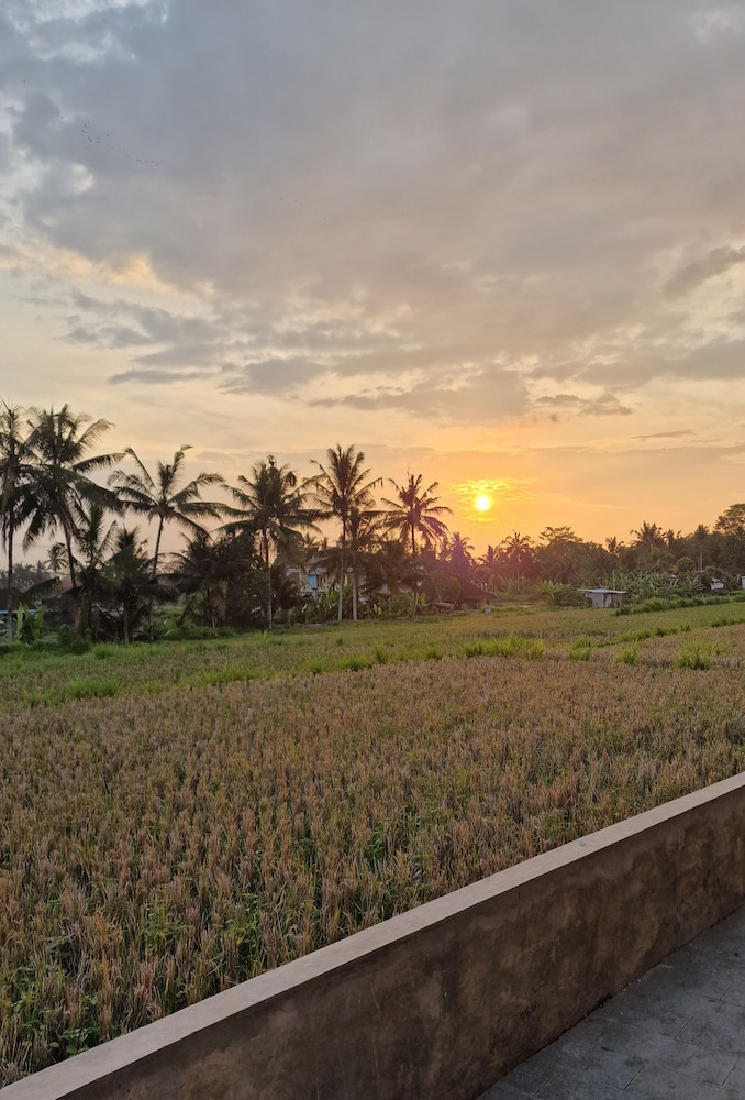 Bali View Ubud