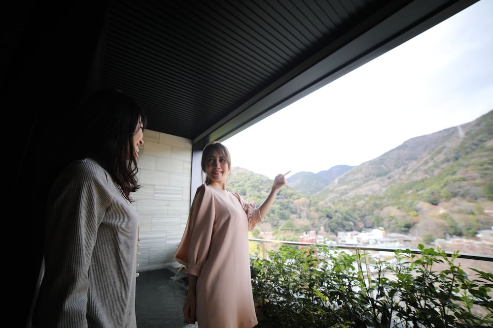 Hakone Airu