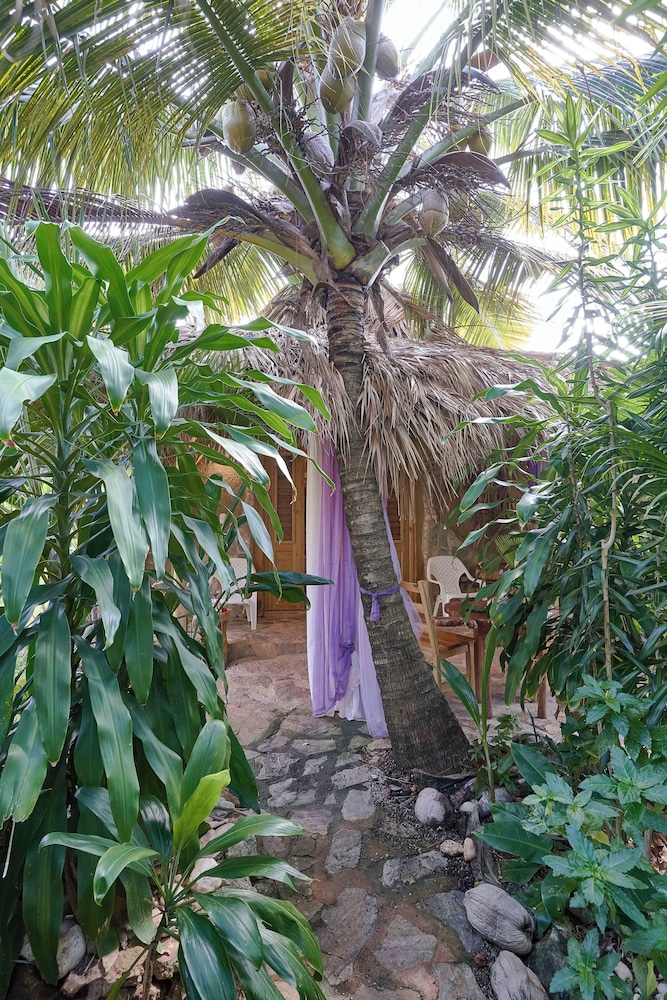 CHALET TROPICAL Hotel & Restaurant-Pizzeria