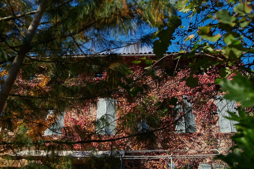 La Halte du Temps - Image 4