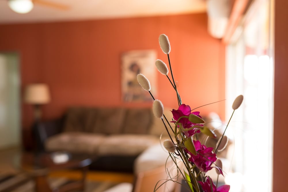 New Kingston Guest Apartments at Abbey