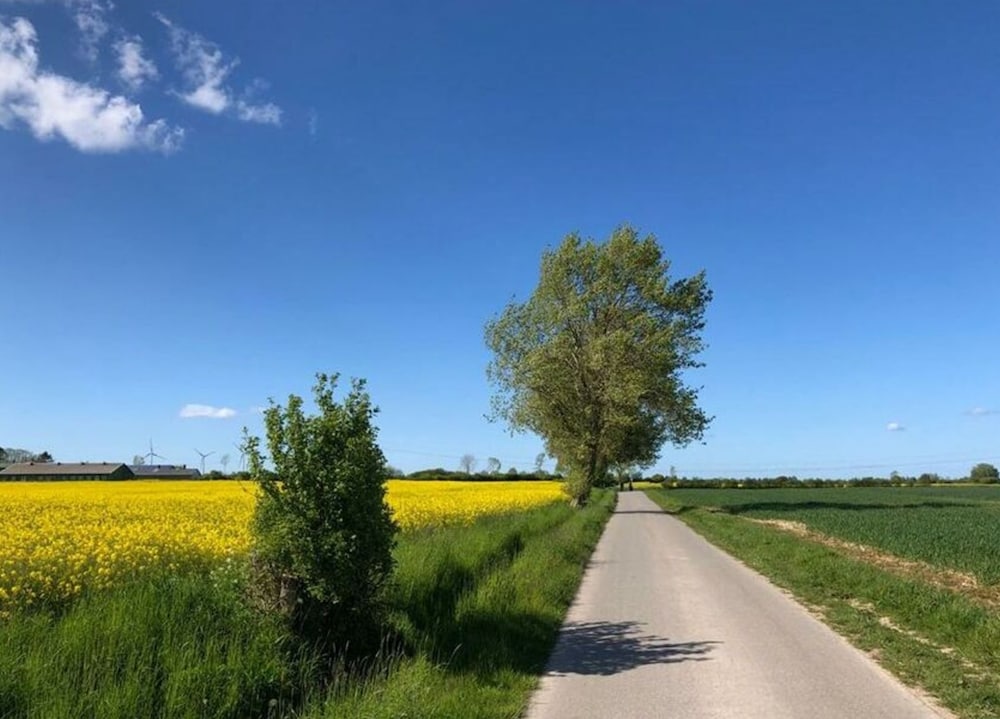 Country House Landlust