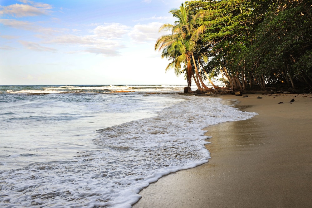 Tree House Beachfront Lodge