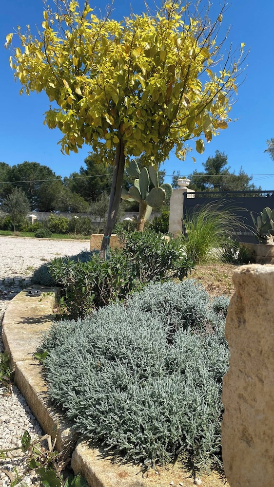 Masseria tre Archi , Private Pool