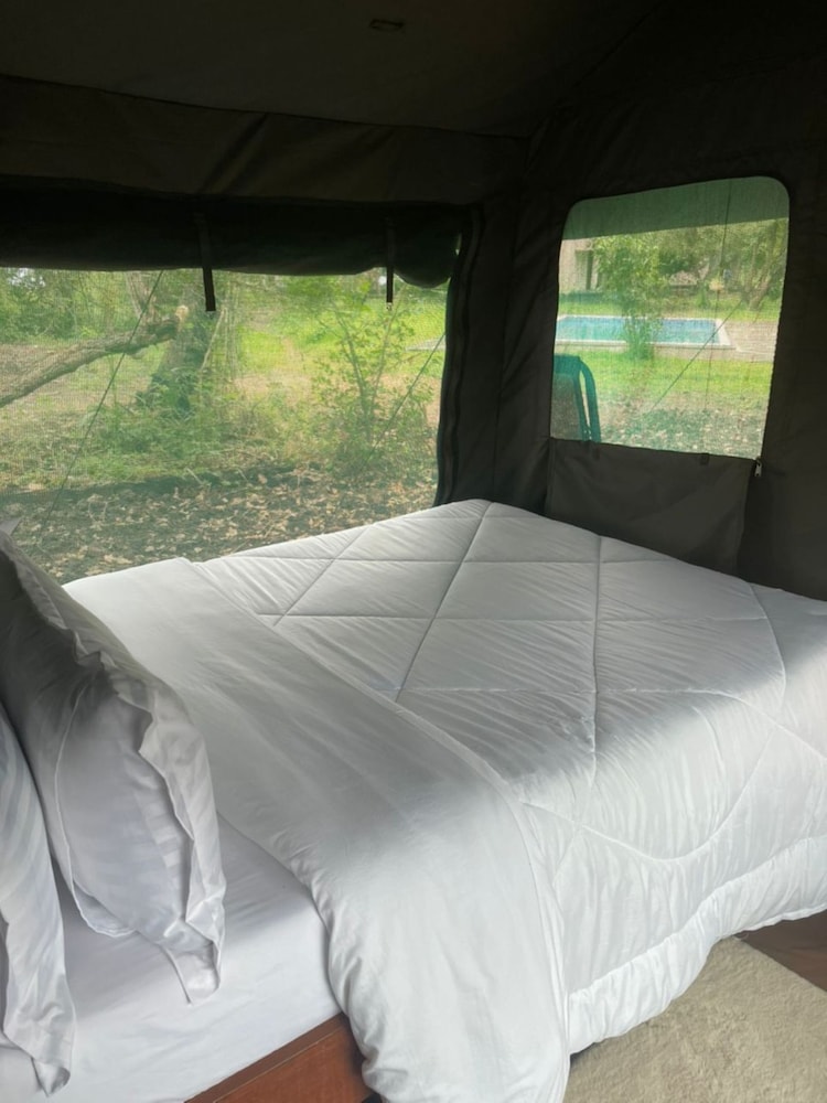Royal South Luangwa Safaris Lodge